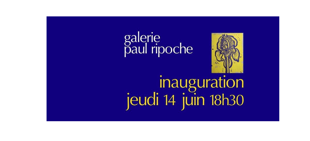 14/06 – IMAGI-MAGIE-MAGES – GALERIE PAUL RIPOCHE – LYON