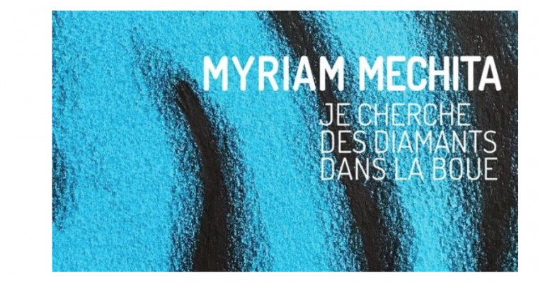 14/02 AU 06/04 – MYRIAM MECHITA – JE CHERCHE DES DIAMANTS DANS LA BOUE – TRANSPALETTE CENTRE D’ART CONTEMPORAIN BOURGES