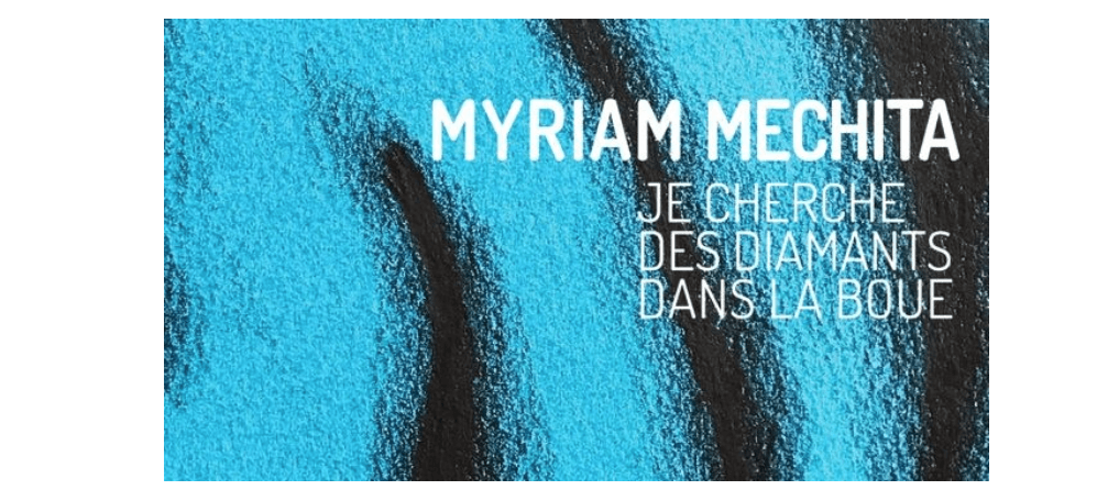 14/02 AU 06/04 – MYRIAM MECHITA – JE CHERCHE DES DIAMANTS DANS LA BOUE – TRANSPALETTE CENTRE D’ART CONTEMPORAIN BOURGES