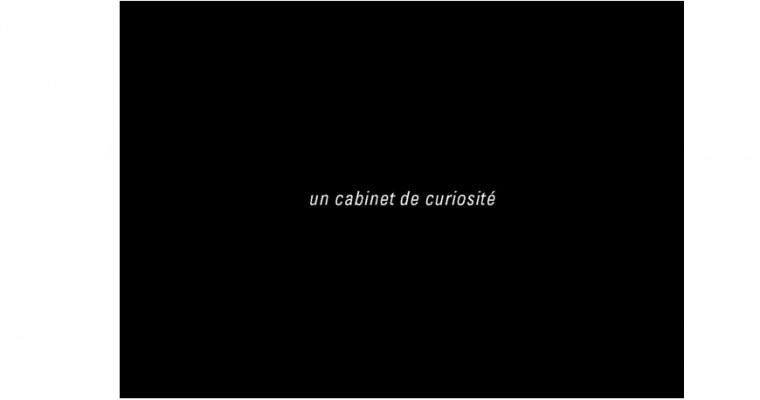 Céleste Boursier-Mougenot – un cabinet de curiosité – 20/04 au 25/05 – Xippas Paris