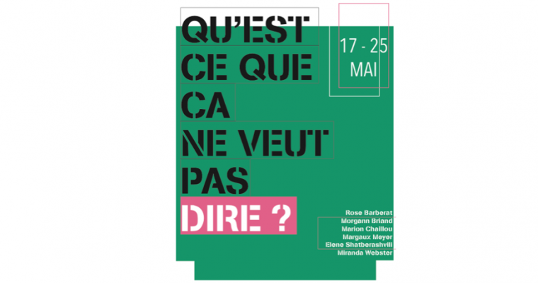 Qu’est ce que ça ne veut pas dire ? – 17 au 25/05 – galerie de l’IESA arts&culture, Paris