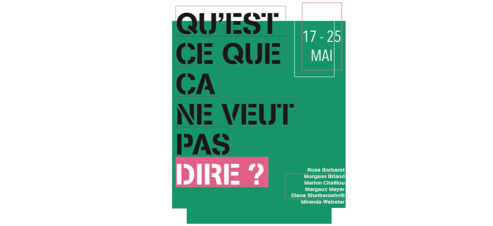 Qu’est ce que ça ne veut pas dire ? – 17 au 25/05 – galerie de l’IESA arts&culture, Paris