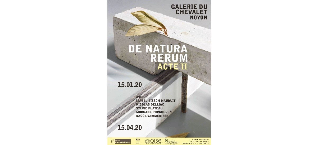 DE NATURA RERUM – 14/01 au 15/04 – Galerie du théâtre du Chevalet, Noyon