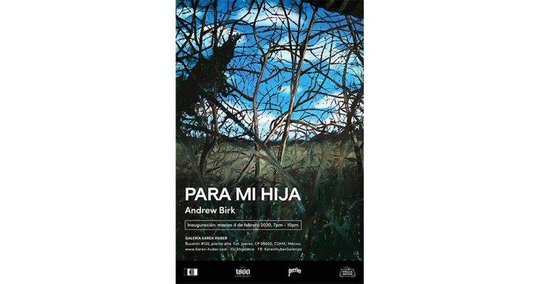 Andrew Birk – Para Mi Hija – 04.02 – 25.04 – Karen Huber Gallery, Mexico