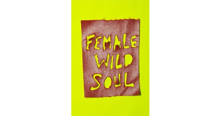 Sandra Lecoq – Female Wild Soul – Espace d’Arts Plastiques de Vénissieux