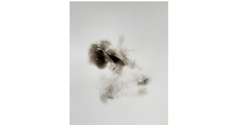 Jeanne Révay – La signature des cendres – Galerie Houg, Paris