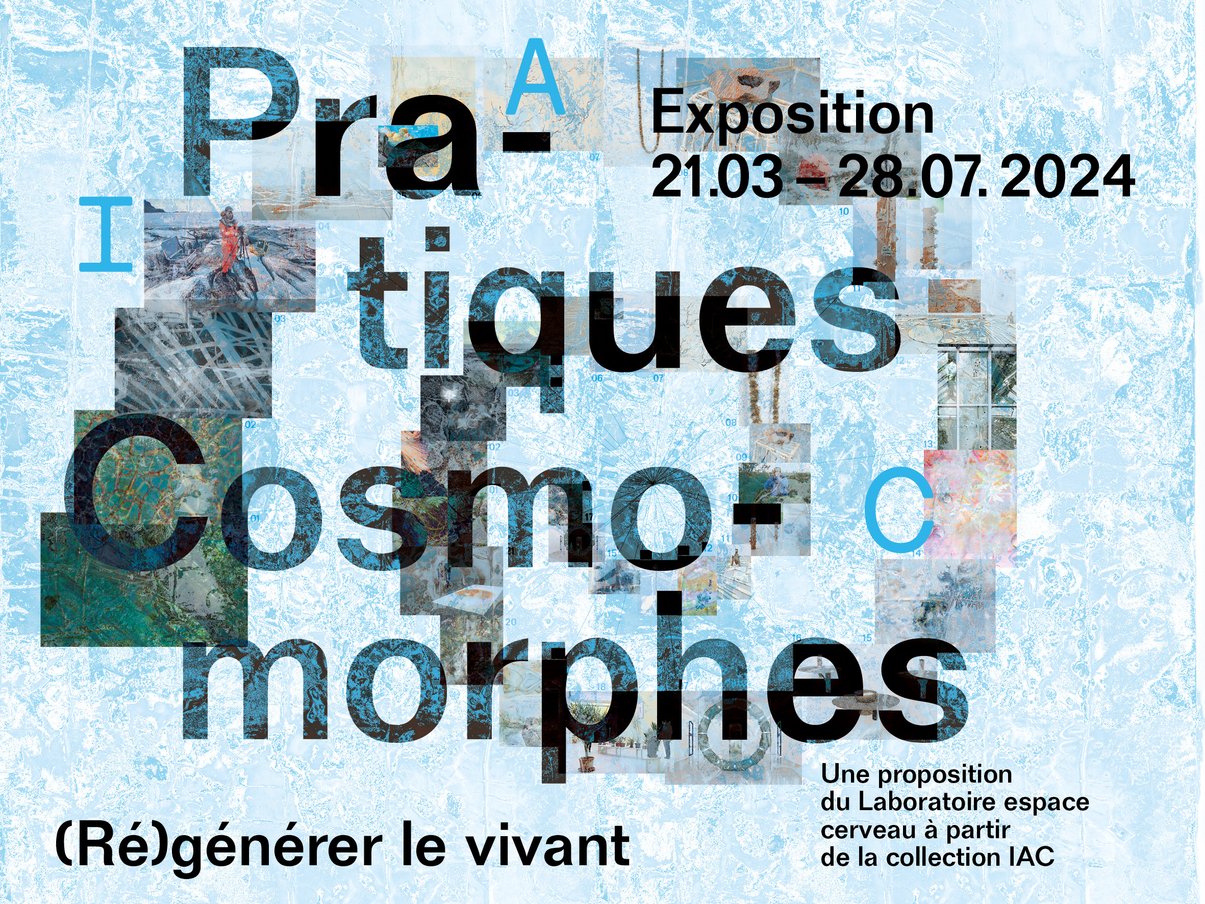 Institut d'art contemporain, Villeurbanne/Rhône-Alpes