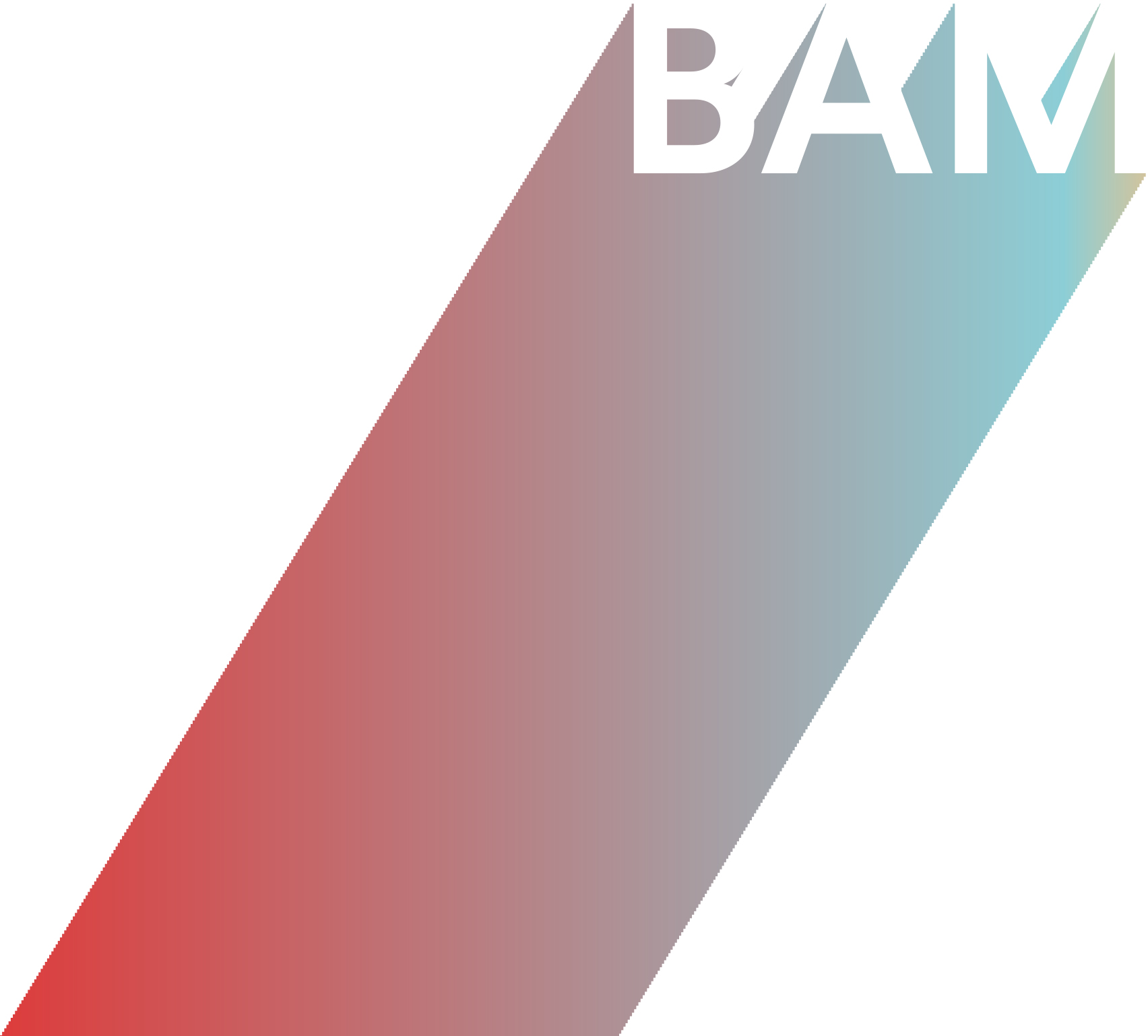 BAM Projects