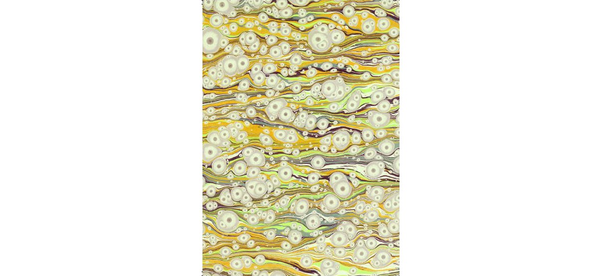 The Yellow Wallpaper – 09/11 au 22/12 – L’attrape couleurs, Lyon