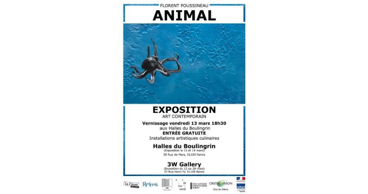 Florent Poussineau – Animal – 13/03 au 28/03 – Halles du Bouligrin et 3W Gallery, Reims