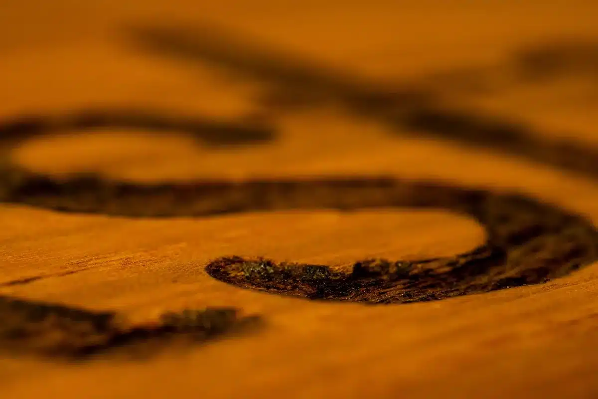 Application de vernis et peinture polyuréthane sur surface en bois pour protection