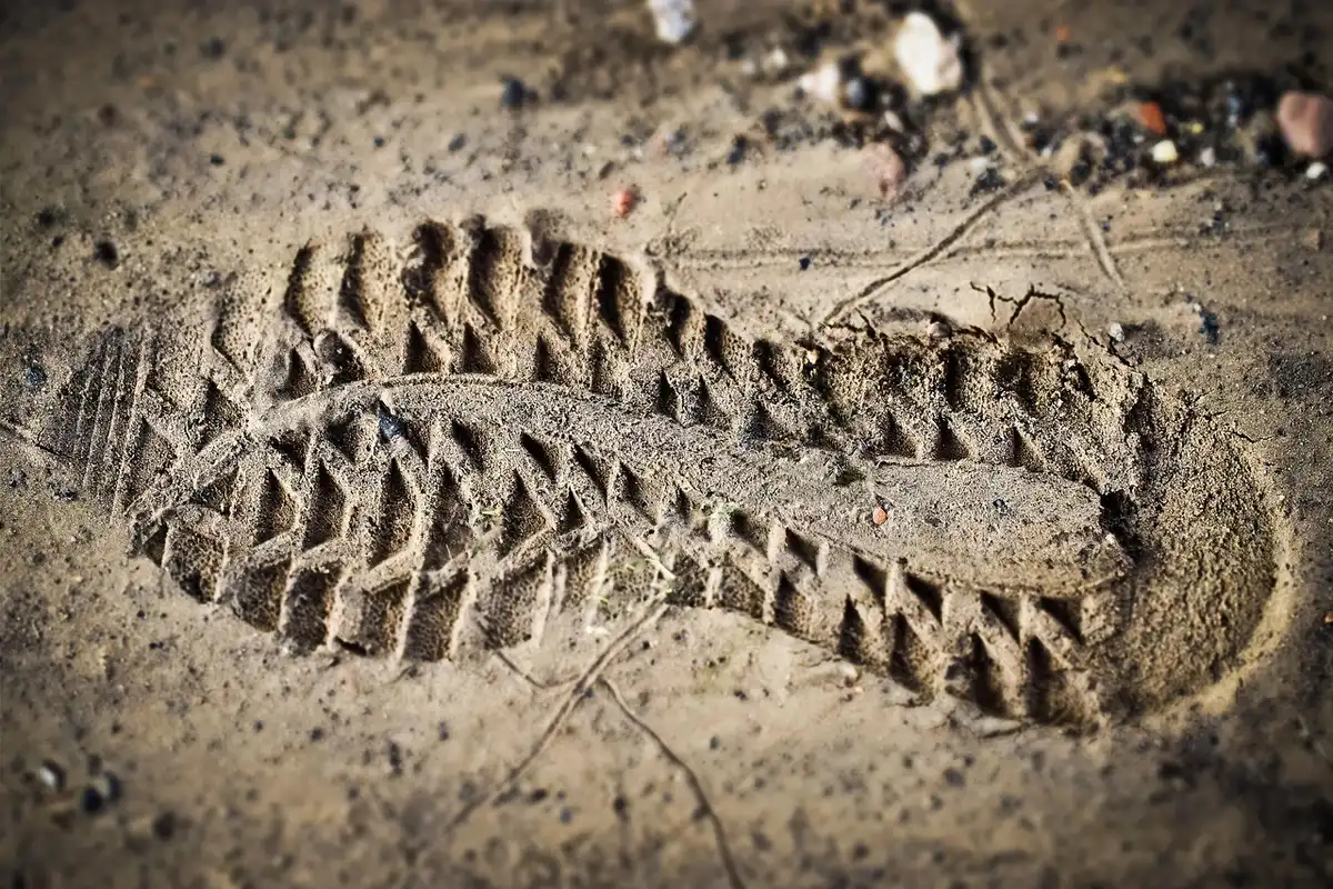 Semelle de chaussure en polyamide offrant durabilité et confort.