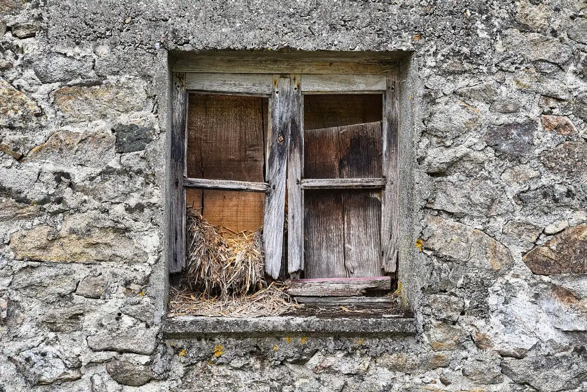 Un mur extérieur et intérieur peints avec un rouleau posé à proximité