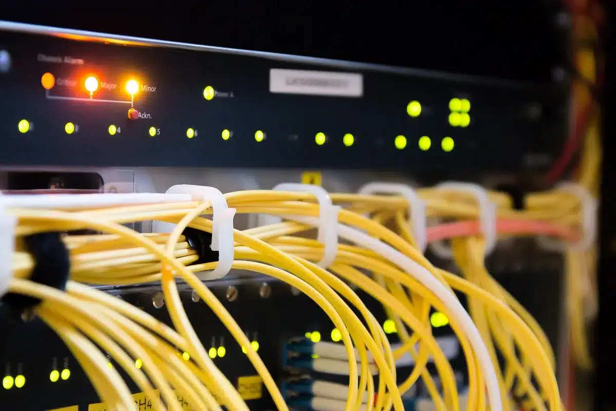 Panneaux de fibre de bois posés sur une façade sous grand jour