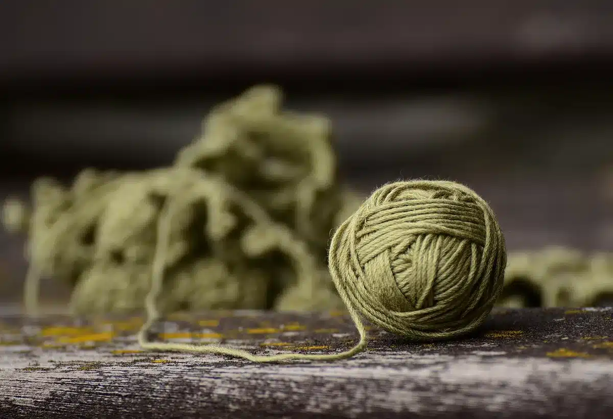 Échantillon de laine de mouton montrant fibres isolantes pour thermique et acoustique
