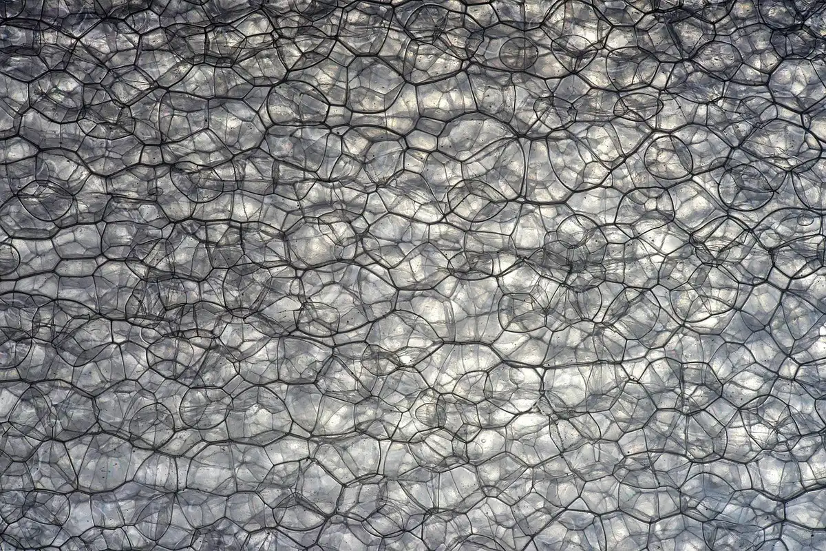 Gros plan sur la structure alvéolaire d'une mousse isolante montrant des cellules